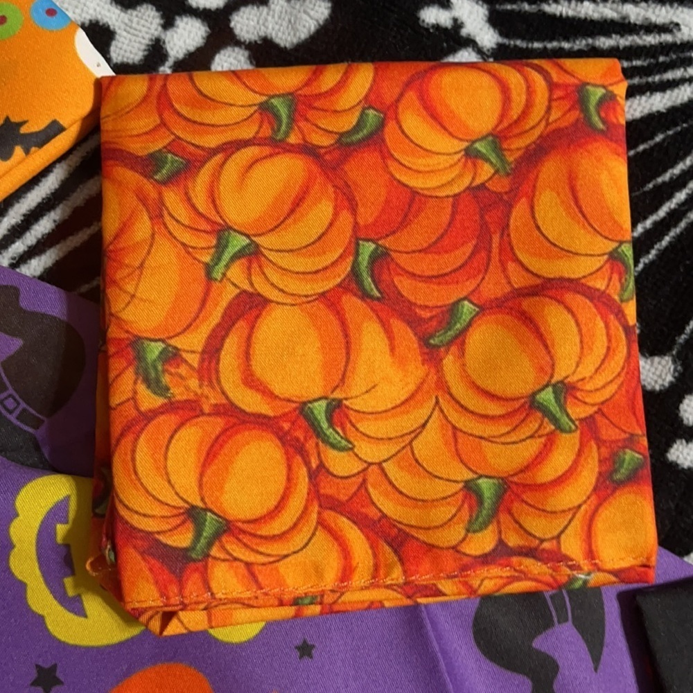 NWT set/4 Halloween pet bandanas - Picture 4 of 6